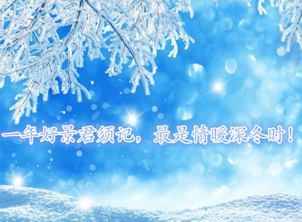 一年好景君须记，最是情暖深冬时
